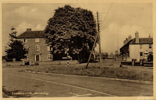 Cuckoo oak madeley - cuckoo,