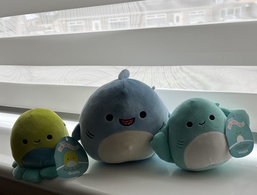Squishmallows plush toys - plush,