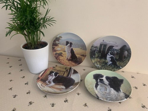 The border collie collection - border,