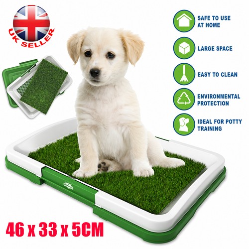 Pet dog toilet - dog, mat