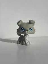 Littlest Pet Shop Collie 363