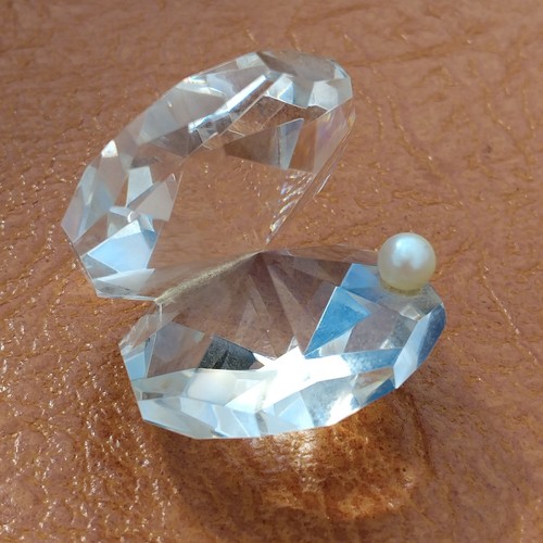 Crystal clam oyster shell - clam,