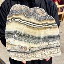 1.75LB Large Natural Banding