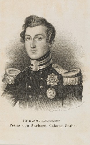 Mayer duke - c.,