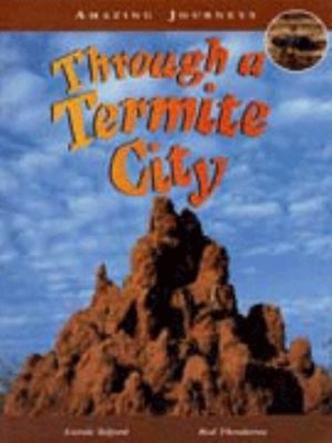 Through termite city - termite,