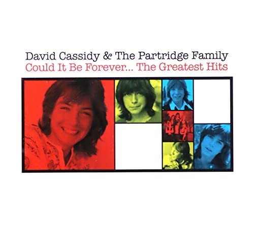 David cassidy could - cassidy, be