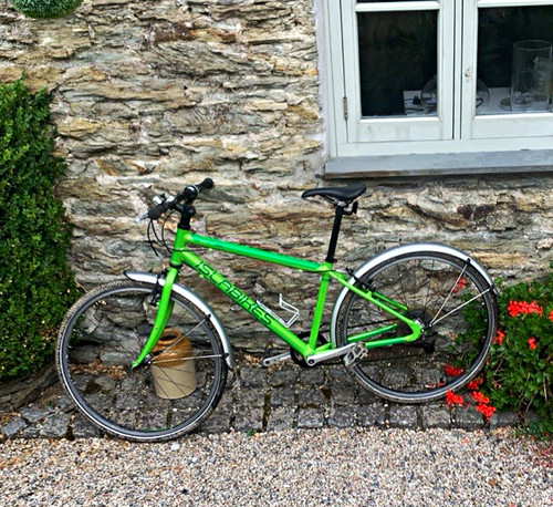 Islabikes beinn large - islabikes, rare