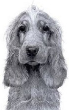 GARY HODGES 'BUTTER WOULDN'T MELT ' LIMITED EDITION PRINT MINT