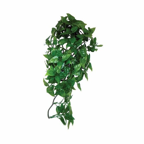 Komodo vivarium hanging vine - vivarium,