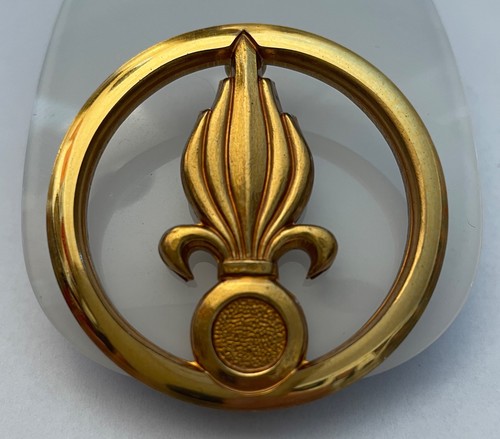 Beret badge - beret, model)