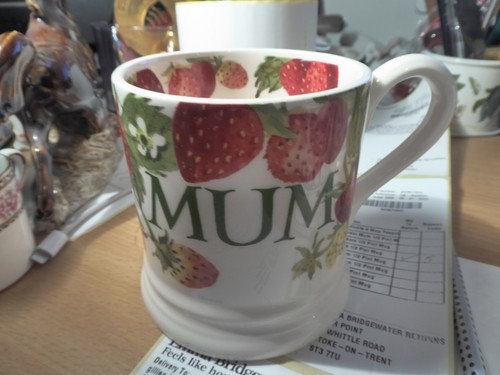 Brand new emma bridgewater - new,