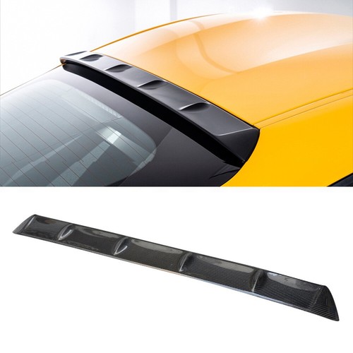 Carbon fiber rear - carbon, roof