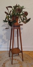 Vintage Simple Light Oak Plant
