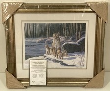 Stephen Gayford Limited Signed