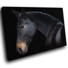 Black Brown Horse Dark  Funky Animal Canvas Wall Art Large Picture Prints