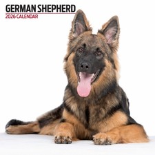 German Shepherd 2026 Modern