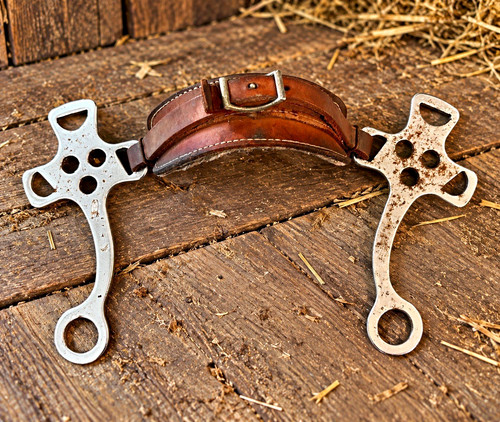 Equestrian barn find - barn,