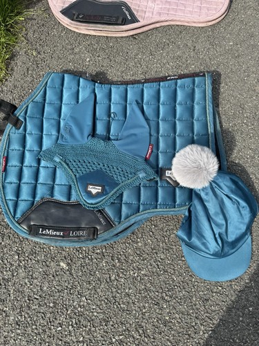Lemieux loire marine - loire, saddle