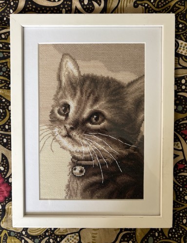Framed completed cat kitten - framed,