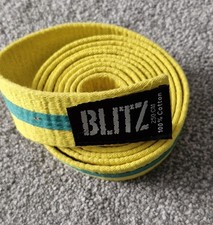 Martial Arts Taekwondo Belt -
