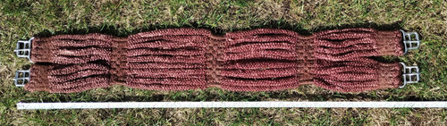 Equine horse stubben brown - equine,