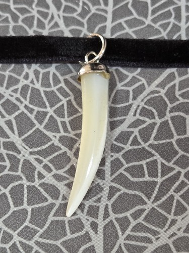 Choker sharks tooth shell - sharks,