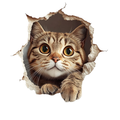 Peeking tabby cat vinyl - peeking,
