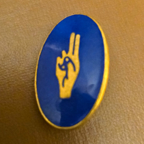 Vintage brownie guides golden - brownie,