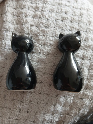Black cat style salt n - style,
