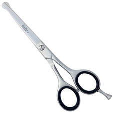 Professional Pet Hair Grooming