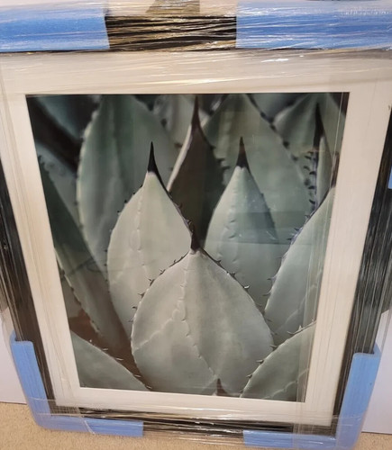 John lewis agave framed - john,
