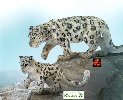 Snow leopard and - snow,