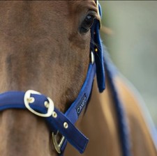 Cameo Suede Padded Headcollar