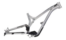 Frame Pivot Bearing Kit |