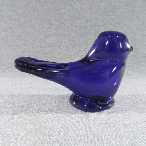 Rare purple martin art - martin, glass