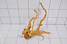 Premium aquarium natural red - aquarium,