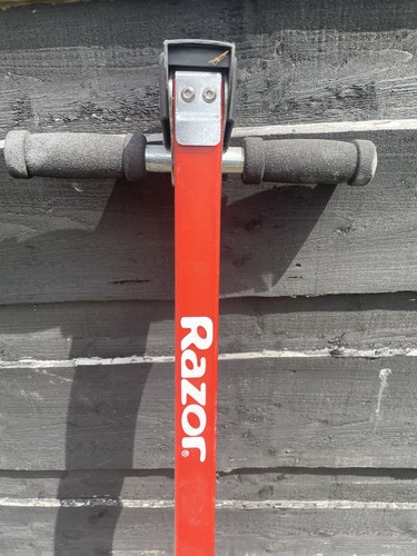 Pogo stick adults - stick, teenagers