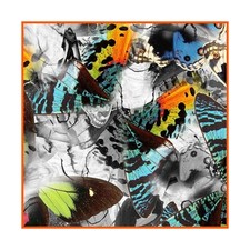 Women's 100% silk Large Scarf
