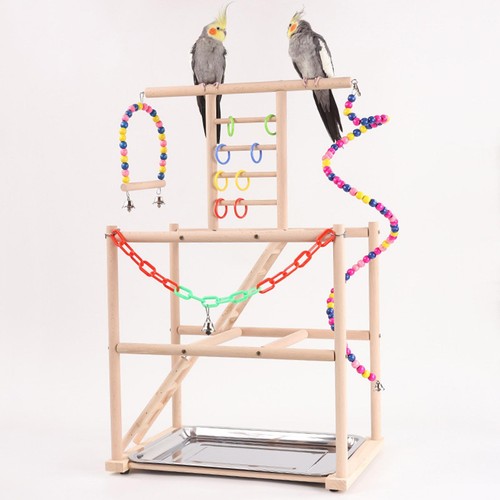 Bird playground play - bird,