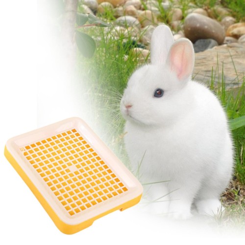 Potty tray hamster - toilet, box