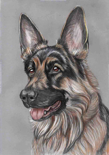 Original color pencil drawing - color,