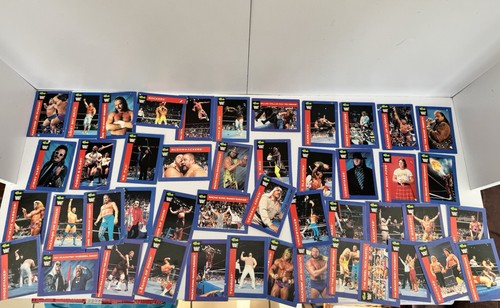 46x titan sports 1991 wwf - sports,
