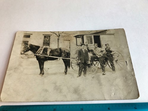 Vtg cornell dairy milk horse - vtg,