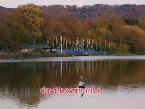 Photo sailing club heron - photo,