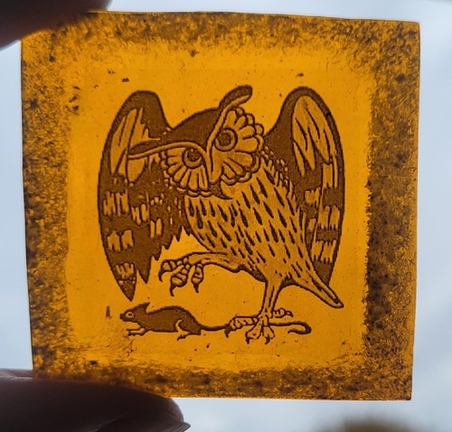 Barn owl mouse - &, glass