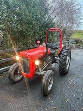Massey Furguson 35 Excellent Condition Tractor