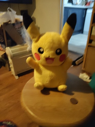 Pokemon friend pikachu - friend,