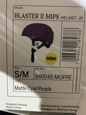 Sweet Protection Ski Helmet