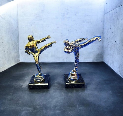 Gold silver martial arts - silver,