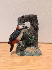 Woodpecker The Leonardo